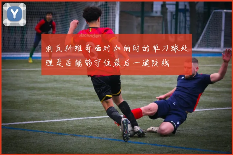 利瓦科维奇面对加纳时的单刀球处理是否能够守住最后一道防线