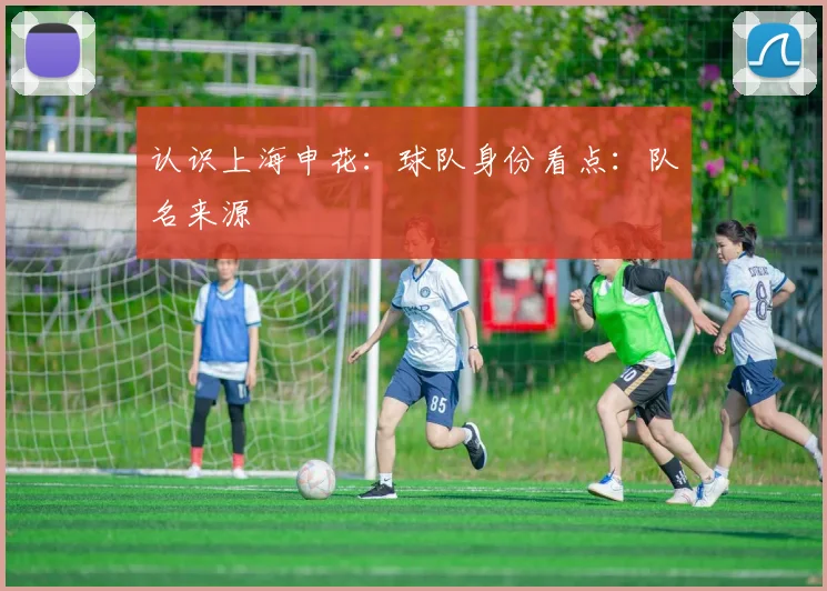 认识上海申花：球队身份看点：队名来源